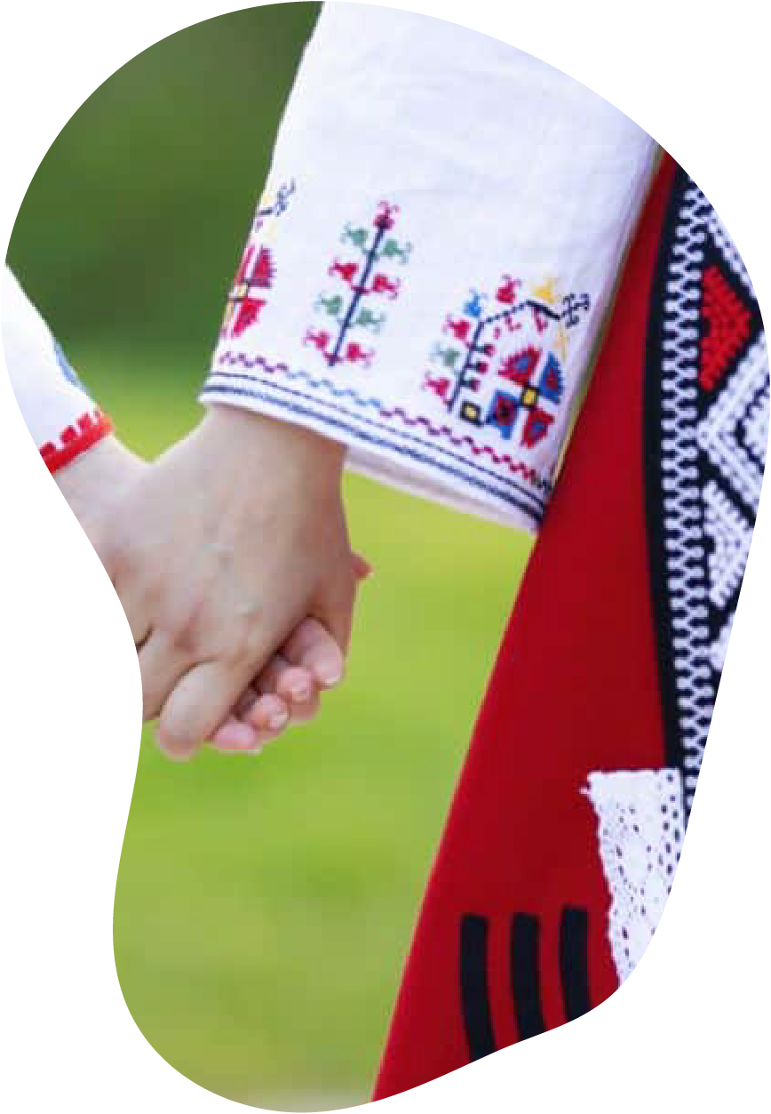 Шевица